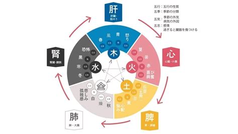 五行判定|陰陽五行占い